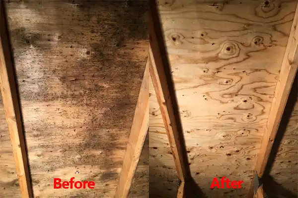 water damage restoration service Poplarville
